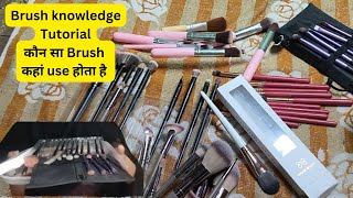 Affordable Makeup brushes and their uses for beginners// How to makeup brushes use step by step/