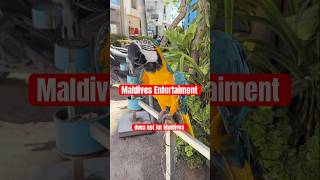 Maldives Entertaiment On Local Islands. Maafushi Vs Dhiffushi. Which One Is Right For You?