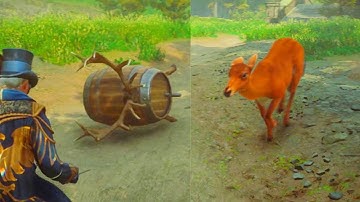 Having fun with Transfiguration spell. Hogwarts Legacy