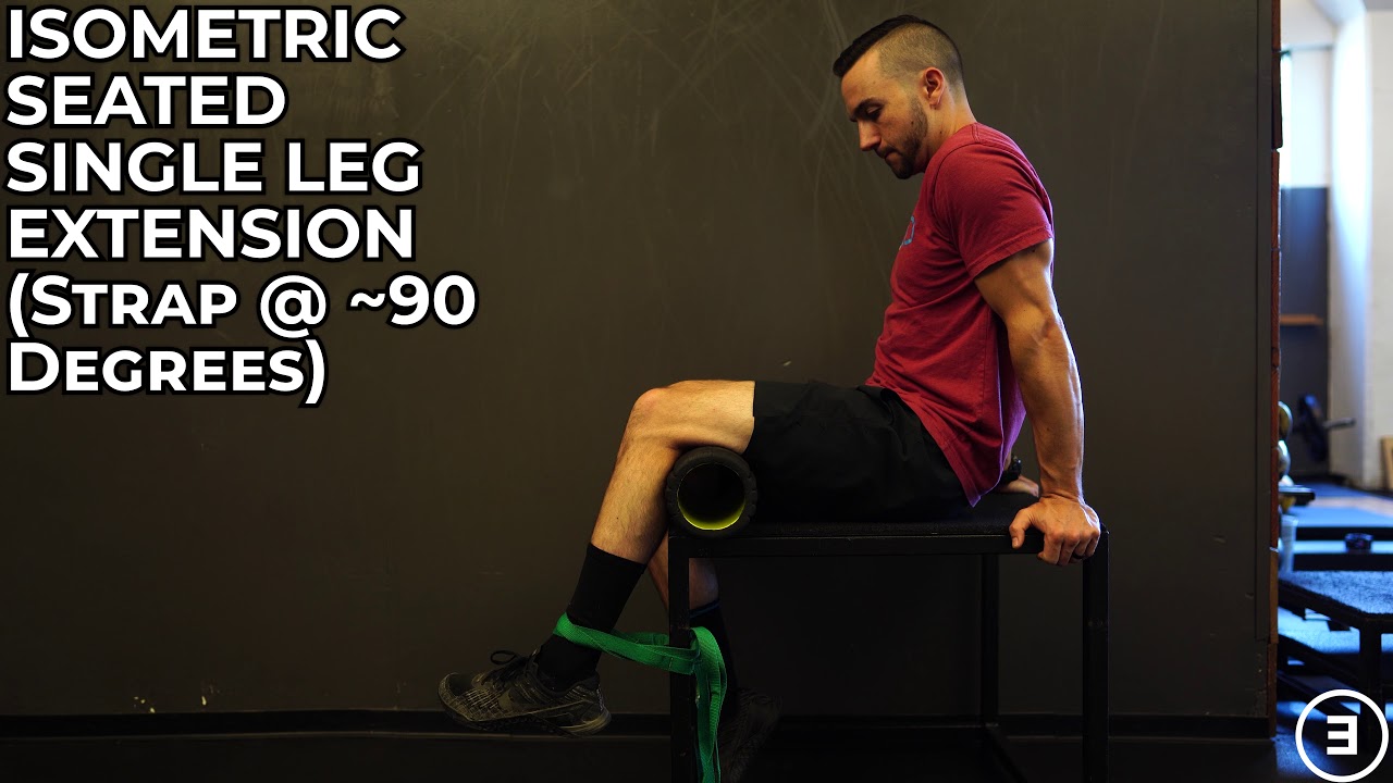 Isometric Seated Single Leg Extension (Strap at ~90 Degrees) 