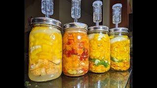 Fermenting Peppers for Hot Sauce - Scotch Bonnets, Bell Peppers