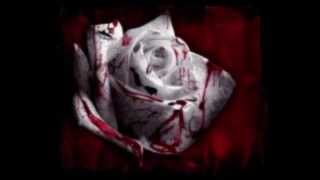 His-Story - Red Rose