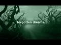 forgotten dreams. (slowed playlist)