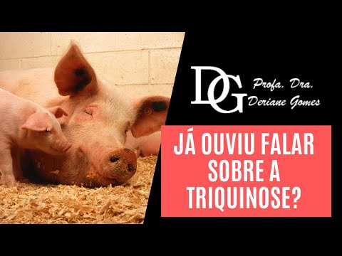 Vídeo: Como a triquinose é transmitida?