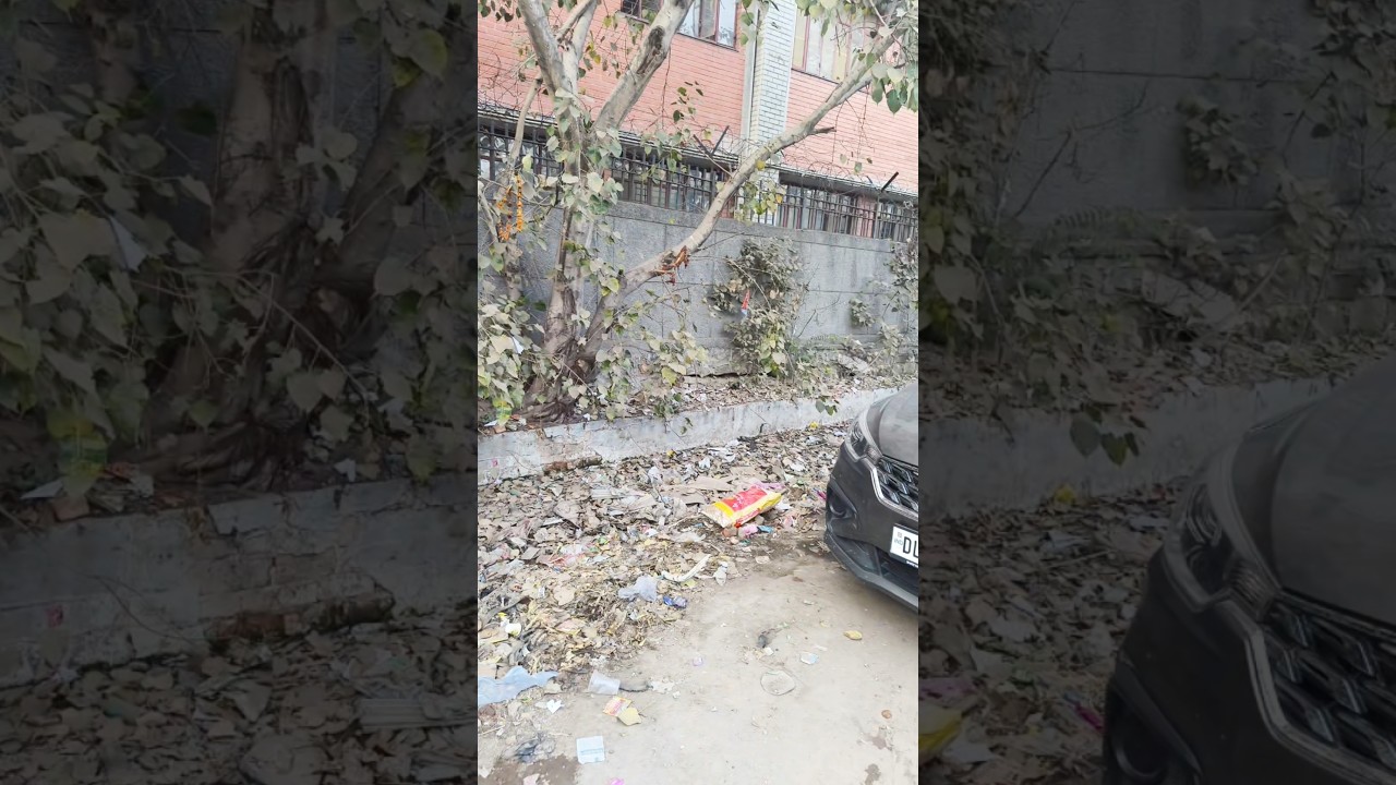 School ke just bagal me kachra!? Sarkar so rahi hai? | Ground Report think with abu