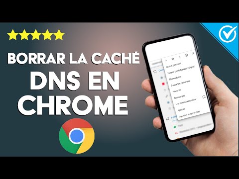 Cómo borrar la caché DNS en tu navegador CHROME - Mejora el rendimiento