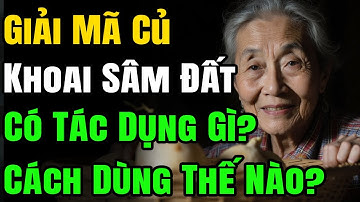 Củ Khoai Sâm Đất: Tác Dụng, Cách Dùng & Ai Cần Tránh?
