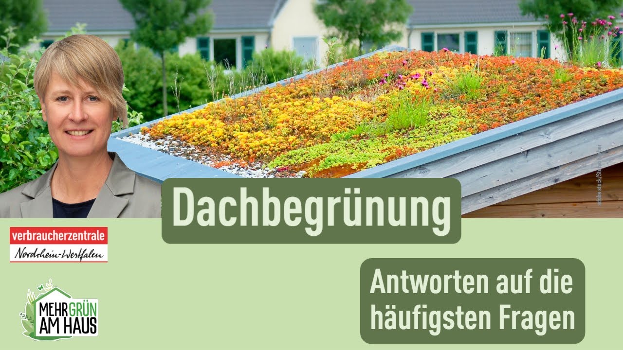 Die häufigsten Fragen zu Dachbegrünung
