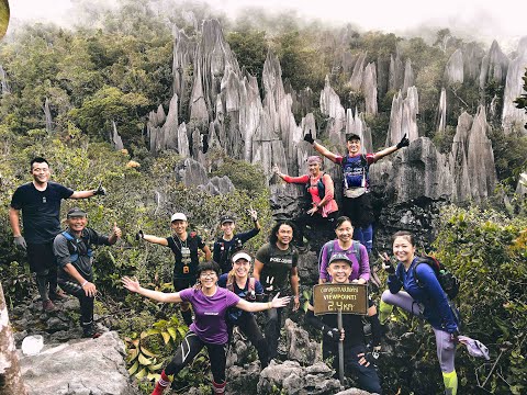 Journey to Mulu Pinnacles - Malaysia's toughest mountain to hike.