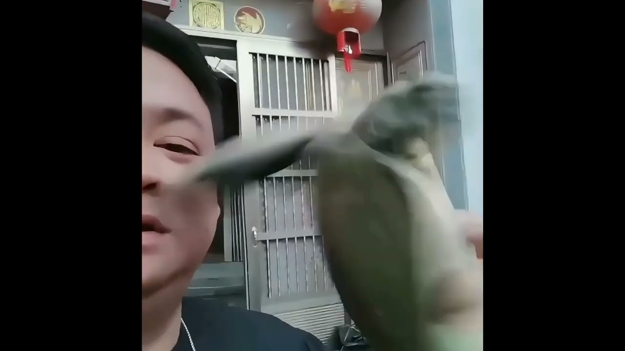 Funny Fat People Fails 🤣 | Funniest Videos & Comedy Moments