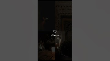 قَالَ لَا تَخَافَا ۖ إِنَّنِي مَعَكُمَا أَسْمَعُ وَأَرَىٰ ﴿46﴾| سورة طـه