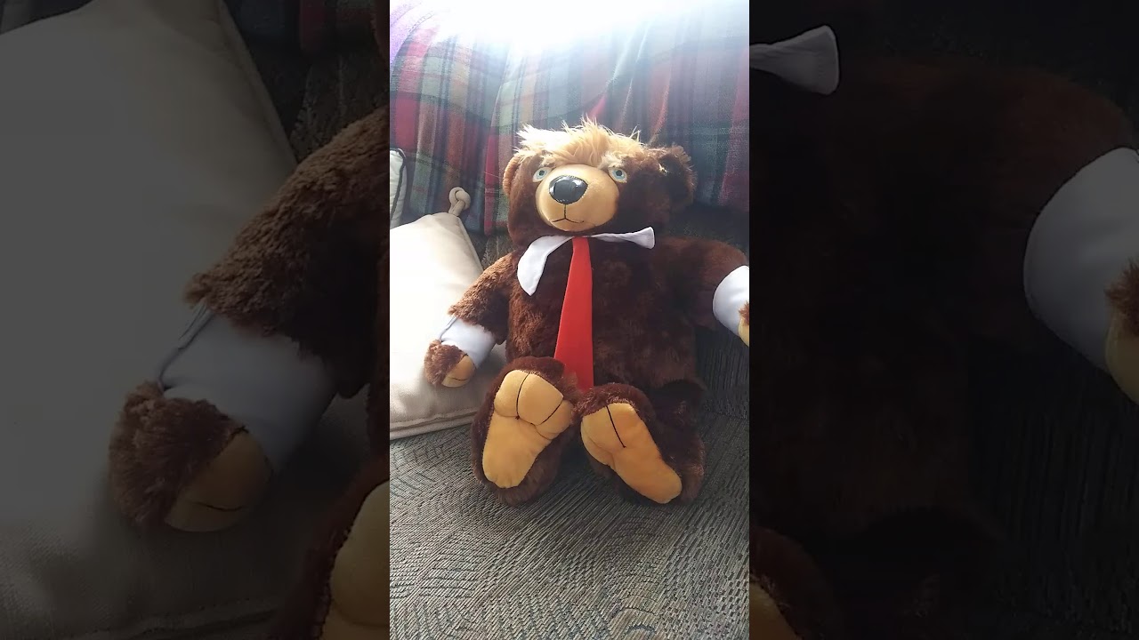 Trumpy Bear on Democrats
