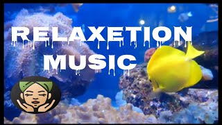 Top Underwater Relaxation World