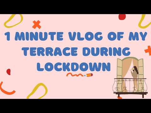 1 minute Vlog of my terrace during Lockdown | Nothing to do π #SHORTS