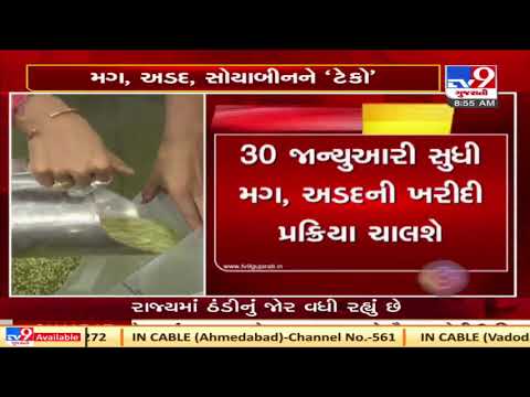 Gujarat: Process of purchasing Mung, Udad and Soybean at MSP begins from today | TV9News