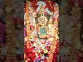 Jay maa Mangal ♥️❤️💚💚💛🧡😍🌈🌸✨