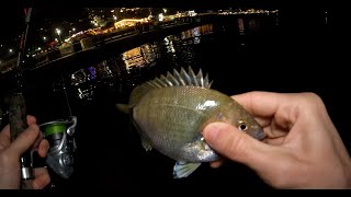 Рыбалка в Сочи на ультралайт. Первый ласкирь в этом году🎣