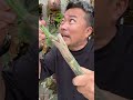パキラ ミルキーウェイの攻略2年後