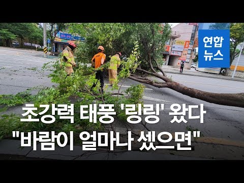 초강력 태풍 &#39;링링&#39; 오후 수도권 최근접…&quot;기록적 강풍 가능성&quot; / 연합뉴스 (Yonhapnews)