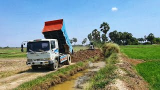 Dump Truck And Bulldozer Komatsu Pushing-19-05-2024