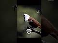 😱😳😳#subscribe #tranding #shortvideo #viralvideo #subscribers #shorts #short 😱😳😱😱😱😳😳😳😱😱