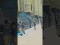 Masha,Allah makkah live madina live #makkah #madina #shorts #hajjlive #shortvideo #mecca