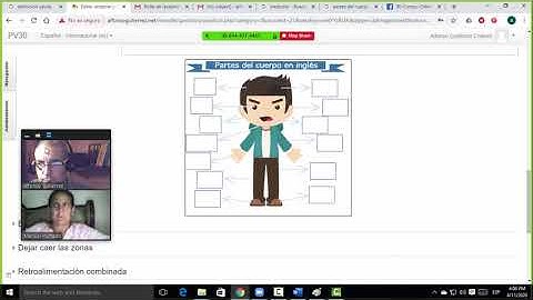 4.  Moodle   Pregunta de tipo arrastrar y soltar sobre imagen