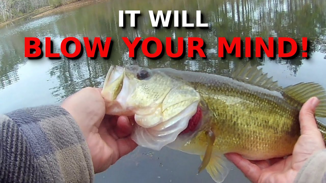 Why COLD Bass Stay SHALLOW!!!! (Underwater Footage PROVES It!!!!)