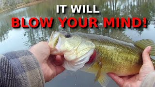 Why COLD Bass Stay SHALLOW!!!! (Underwater Footage PROVES It!!!!)