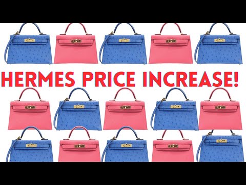 HERMES PRICE INCREASE FEB 2022 FOR BAGS!! *KELLY, CONSTANCE, PICOTIN,  EVELYNE, GARDEN PARTY* YIKES! 