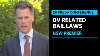 IN FULL: NSW Premier Chris Minns flags review of domestic violence-related bail laws | ABC News
