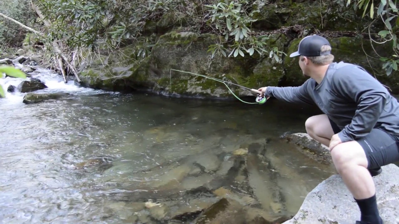 Fly Fishing the Tellico River YouTube