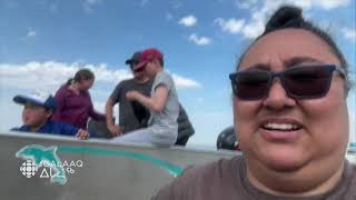 Igalaaq - July 17th 2024