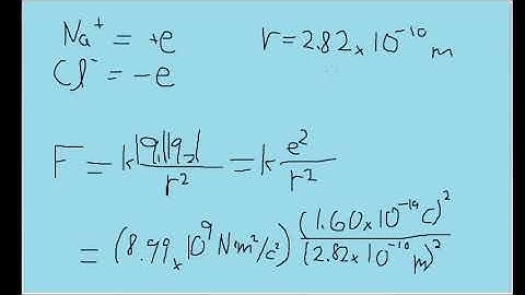 What is the magnitude of the electrostatic force between a singly charged sodium ion