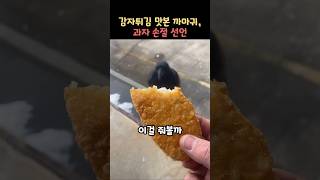 감자튀김 맛본 까마귀, 과자 손절 선언 #Shorts #까마귀 #동물지능 #동물행동 #먹이선택