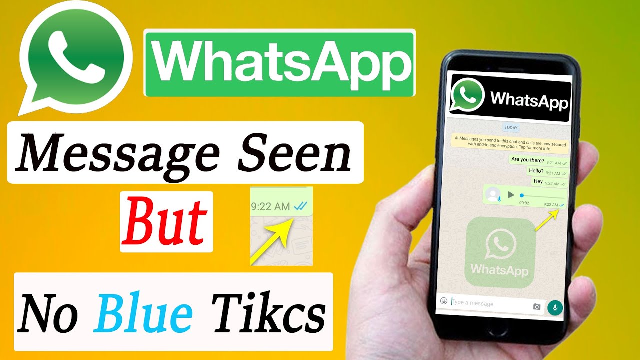 Whatsapp Message Seen But No Blue Ticks - Whatsapp Blue Tick Not Showing