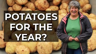 NEVER Dig Potatoes Again! | No dig potato harvest RESULTS | No till potatoes (2022)