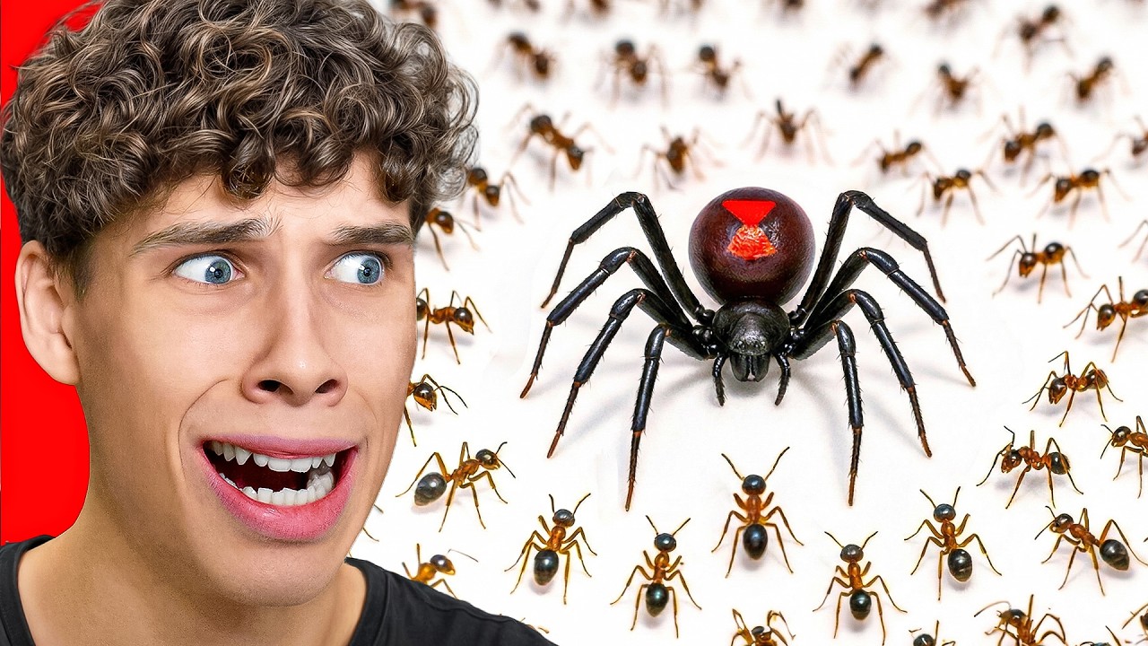 1,000 hormigas VS Viuda Negra ¿Quién gana?