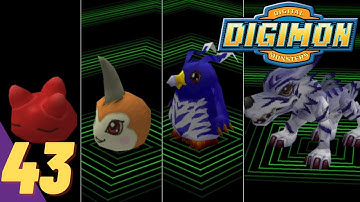 Follow This Step to DIGIVOLVE To GARURUMON | Let