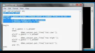 Oracle DBA Justin - PL/SQL # 6: How to use if condition testing