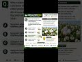 ☁️ Cotton Species MCQ | Global Cotton Production Question 🔥