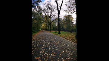 تلاوة خاشعة(رَبَّنَا اغْفِرْ لِي وَلِوَالِدَيَّ وَلِلْمُؤْمِنِينَ.. ) الشيخ محمد حسان