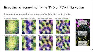 Reimagining resolution at single cells with Generative Encoding