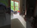 This one is actually 0.1 sec long