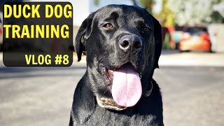 Training My DUCK DOG | PT. 8