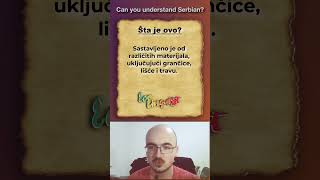Can you understand Serbian? | Short 1 #languagechallenge @Ecolinguist