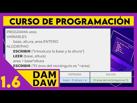 Instrucciones en pseudocódigo ☕ DAM - DAW
