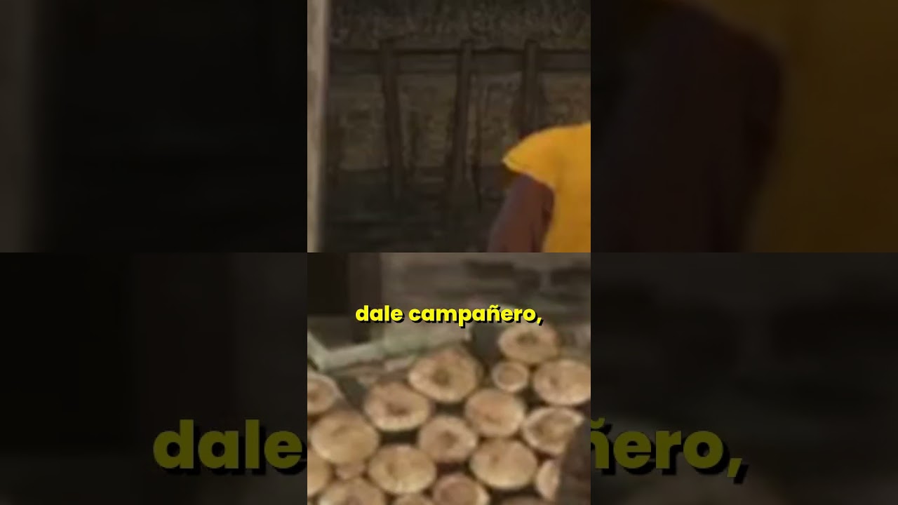 ¡Duelo Épico con Espadas Largas! ⚔️ 