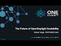 The future of opendaylight scalability  robert varga pantheontech