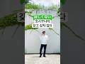 꼭 필요한 일본어기초 | 일본여행 회화 : ~갖고 싶지 않다, 원하지 않는다 4 (차) #shorts